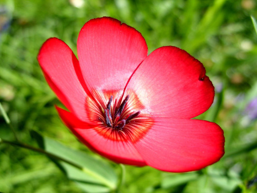 431679 (a): :1600x1200